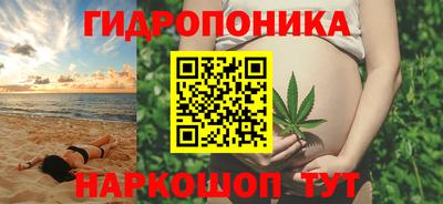 СК Тула