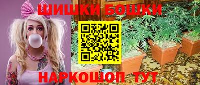 СК Тула