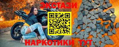 СК Тула